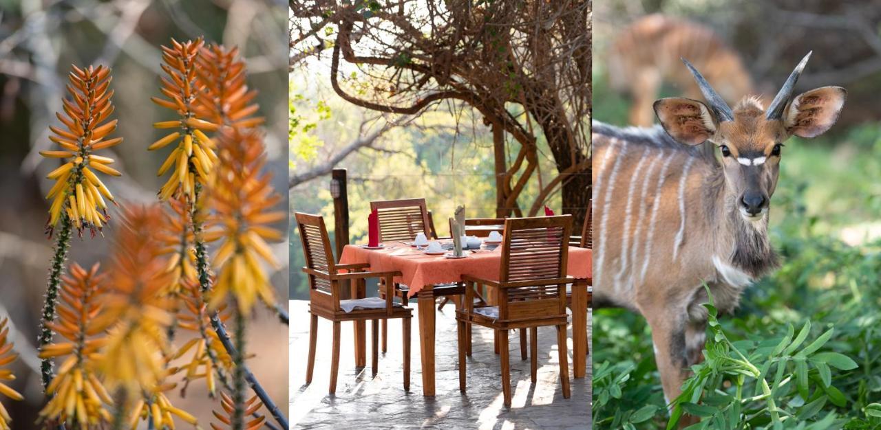 Blyde River Wilderness Lodge Hoedspruit Exteriér fotografie